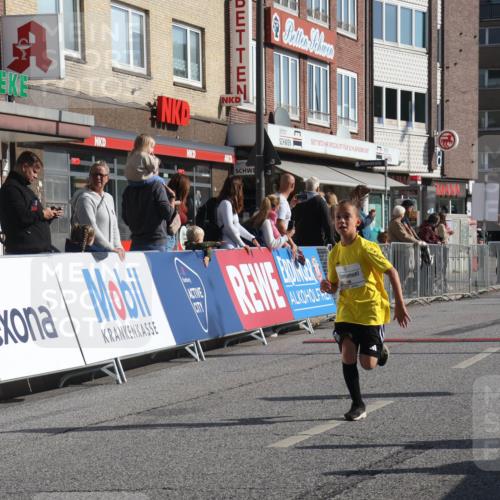 15.09.2024 - PSD Bank Halbmarathon Michael Strokosch http://msf.ph/oto/7071886 15.09.2024 10:28:48 Ziel 106, 107, 130, 137, 140, 162, 179, 205, 222, 235, 305 meine-sportfotos.de