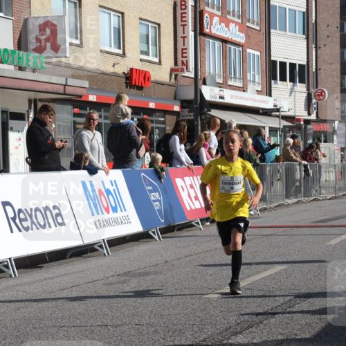 15.09.2024 - PSD Bank Halbmarathon Michael Strokosch http://msf.ph/oto/7071890 15.09.2024 10:28:48 Ziel 106, 107, 130, 137, 140, 162, 179, 205, 222, 235, 305 meine-sportfotos.de