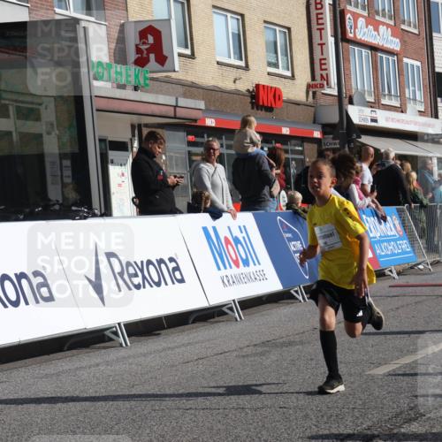 15.09.2024 - PSD Bank Halbmarathon Michael Strokosch http://msf.ph/oto/7071895 15.09.2024 10:28:48 Ziel 106, 107, 130, 137, 140, 162, 179, 205, 222, 235, 305 meine-sportfotos.de