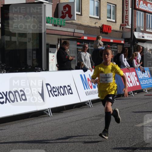 15.09.2024 - PSD Bank Halbmarathon Michael Strokosch http://msf.ph/oto/7071900 15.09.2024 10:28:49 Ziel 106, 107, 130, 137, 140, 179, 205, 222, 235, 305 meine-sportfotos.de