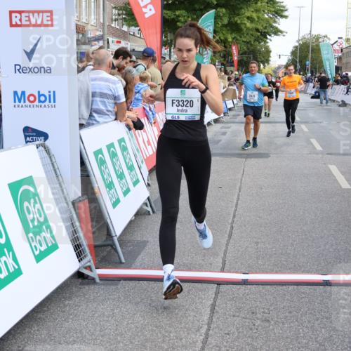 15.09.2024 - PSD Bank Halbmarathon Strokosch-Dieckow http://msf.ph/oto/7071947 15.09.2024 12:23:30 Ziel 803, 2078, 2400, 2550, 2933, 2999, 3243, 3320 meine-sportfotos.de