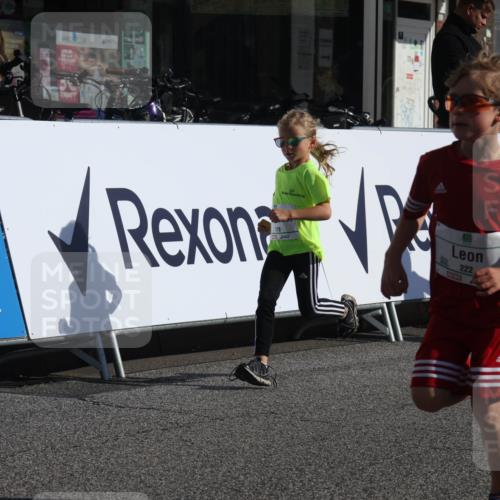 15.09.2024 - PSD Bank Halbmarathon Michael Strokosch http://msf.ph/oto/7071981 15.09.2024 10:28:56 Ziel 106, 107, 130, 137, 140, 154, 170, 179, 189, 222, 231, 288, 292 meine-sportfotos.de