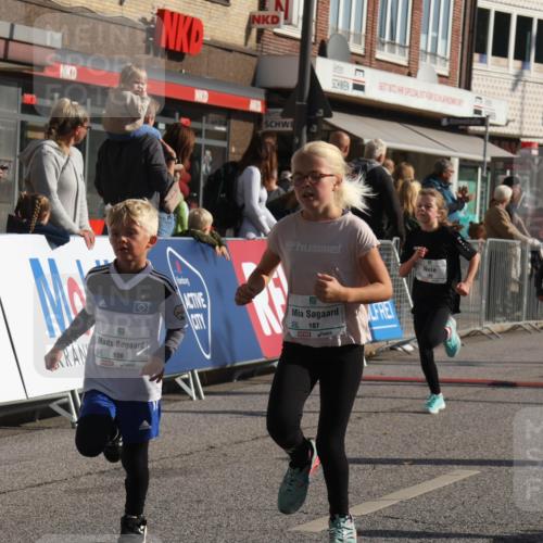 15.09.2024 - PSD Bank Halbmarathon Michael Strokosch http://msf.ph/oto/7072001 15.09.2024 10:28:57 Ziel 106, 107, 130, 137, 140, 154, 170, 179, 189, 222, 231, 288, 292 meine-sportfotos.de