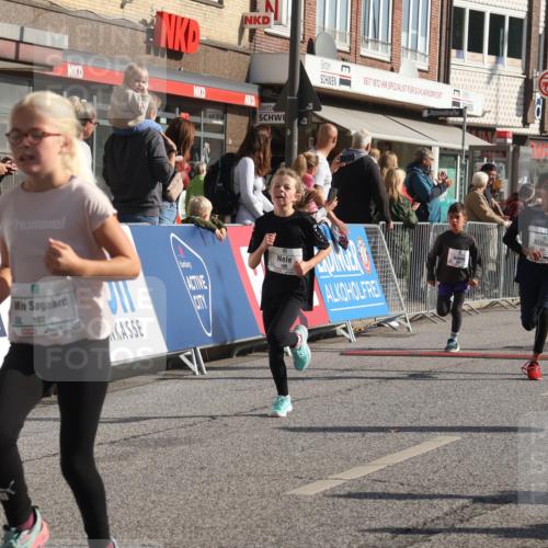 15.09.2024 - PSD Bank Halbmarathon Michael Strokosch http://msf.ph/oto/7072011 15.09.2024 10:28:58 Ziel 106, 107, 137, 140, 154, 170, 179, 189, 222, 231, 288, 292, 297 meine-sportfotos.de