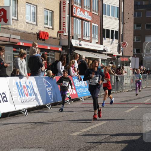 15.09.2024 - PSD Bank Halbmarathon Michael Strokosch http://msf.ph/oto/7072028 15.09.2024 10:28:59 Ziel 106, 107, 137, 140, 150, 154, 170, 179, 189, 222, 231, 271, 288, 292, 297 meine-sportfotos.de