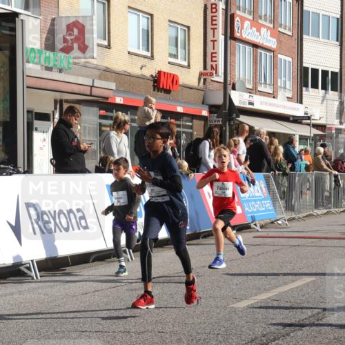 15.09.2024 - PSD Bank Halbmarathon Michael Strokosch http://msf.ph/oto/7072041 15.09.2024 10:29:00 Ziel 106, 107, 137, 140, 150, 154, 170, 179, 189, 222, 231, 244, 271, 288, 292, 297 meine-sportfotos.de