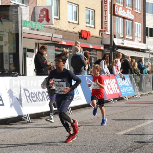 15.09.2024 - PSD Bank Halbmarathon Michael Strokosch http://msf.ph/oto/7072047 15.09.2024 10:29:00 Ziel 106, 107, 137, 140, 150, 154, 170, 179, 189, 222, 231, 244, 271, 288, 292, 297 meine-sportfotos.de