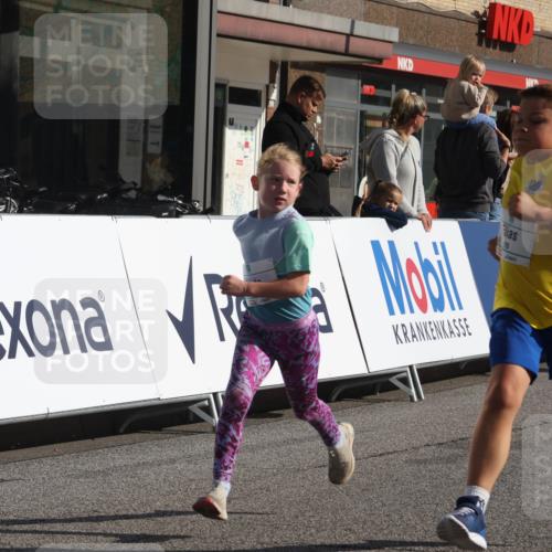 15.09.2024 - PSD Bank Halbmarathon Michael Strokosch http://msf.ph/oto/7072069 15.09.2024 10:29:04 Ziel 5, 12, 47, 106, 107, 137, 150, 154, 170, 179, 180, 189, 222, 231, 244, 271, 288, 292, 297 meine-sportfotos.de