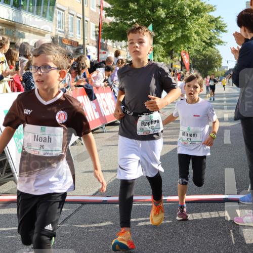 15.09.2024 - PSD Bank Halbmarathon Strokosch-Dieckow http://msf.ph/oto/7072071 15.09.2024 10:28:51 Ziel 26, 45, 92, 130, 162, 183, 184, 192, 205, 235, 243, 273, 305 meine-sportfotos.de