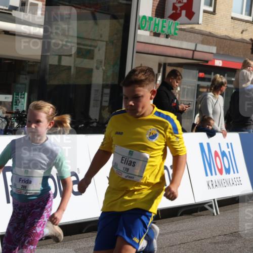 15.09.2024 - PSD Bank Halbmarathon Michael Strokosch http://msf.ph/oto/7072079 15.09.2024 10:29:04 Ziel 5, 12, 47, 106, 107, 137, 150, 154, 170, 179, 180, 189, 222, 231, 244, 271, 288, 292, 297 meine-sportfotos.de