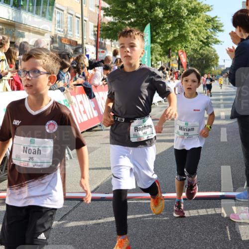 15.09.2024 - PSD Bank Halbmarathon Strokosch-Dieckow http://msf.ph/oto/7072099 15.09.2024 10:28:51 Ziel 26, 45, 92, 130, 162, 183, 184, 192, 205, 235, 243, 273, 305 meine-sportfotos.de