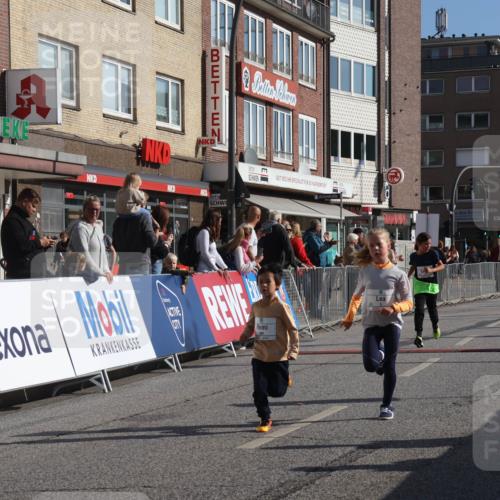 15.09.2024 - PSD Bank Halbmarathon Michael Strokosch http://msf.ph/oto/7072144 15.09.2024 10:29:09 Ziel 5, 12, 47, 70, 150, 154, 170, 180, 189, 231, 244, 254, 255, 271, 288, 292, 297 meine-sportfotos.de