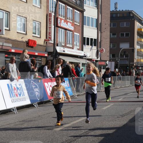 15.09.2024 - PSD Bank Halbmarathon Michael Strokosch http://msf.ph/oto/7072149 15.09.2024 10:29:09 Ziel 5, 12, 47, 70, 150, 154, 170, 180, 189, 231, 244, 254, 255, 271, 288, 292, 297 meine-sportfotos.de