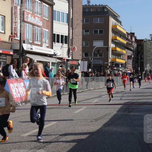 15.09.2024 - PSD Bank Halbmarathon Michael Strokosch http://msf.ph/oto/7072153 15.09.2024 10:29:09 Ziel 5, 12, 47, 70, 150, 154, 170, 180, 189, 231, 244, 254, 255, 271, 288, 292, 297 meine-sportfotos.de