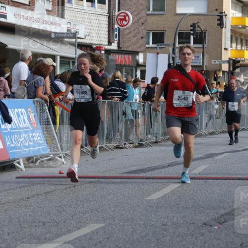 15.09.2024 - PSD Bank Halbmarathon Michael Strokosch http://msf.ph/oto/7072170 15.09.2024 12:11:16 Ziel 1242, 1930, 2519, 2540, 2888, 2941, 3530 meine-sportfotos.de