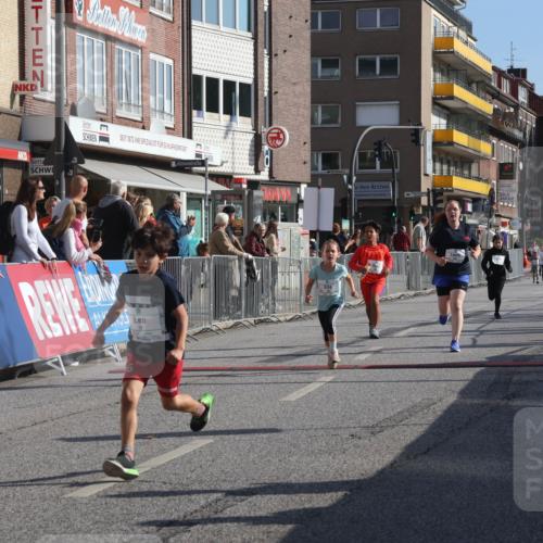 15.09.2024 - PSD Bank Halbmarathon Michael Strokosch http://msf.ph/oto/7072221 15.09.2024 10:29:13 Ziel 5, 12, 47, 70, 150, 170, 180, 194, 244, 254, 255, 271, 288, 297 meine-sportfotos.de