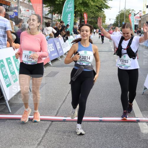 15.09.2024 - PSD Bank Halbmarathon Strokosch-Dieckow http://msf.ph/oto/7072297 15.09.2024 12:32:10 Ziel 2192, 2352, 2358, 2423, 3014, 3203, 3207, 3291, 3356, 3541 meine-sportfotos.de