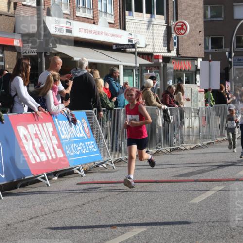 15.09.2024 - PSD Bank Halbmarathon Michael Strokosch http://msf.ph/oto/7072309 15.09.2024 10:29:26 Ziel 46, 70, 80, 85, 111, 120, 194, 254, 255 meine-sportfotos.de