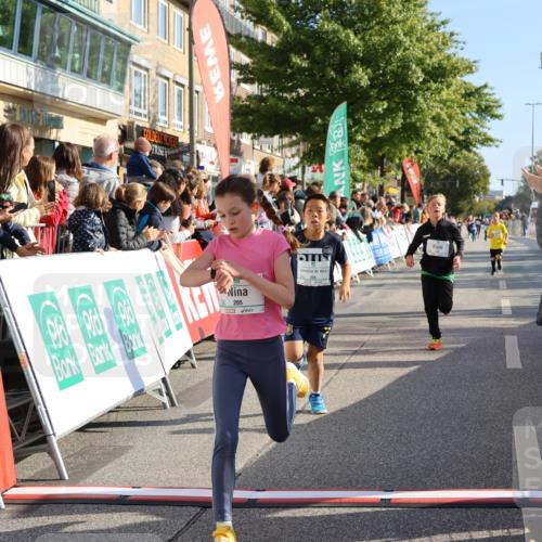 15.09.2024 - PSD Bank Halbmarathon Strokosch-Dieckow http://msf.ph/oto/7072363 15.09.2024 10:28:58 Ziel 26, 130, 140, 162, 184, 192, 205, 235, 273, 305 meine-sportfotos.de