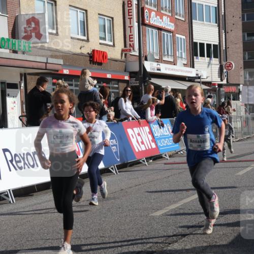 15.09.2024 - PSD Bank Halbmarathon Michael Strokosch http://msf.ph/oto/7072364 15.09.2024 10:29:30 Ziel 46, 60, 80, 85, 111, 112, 120, 168, 194 meine-sportfotos.de