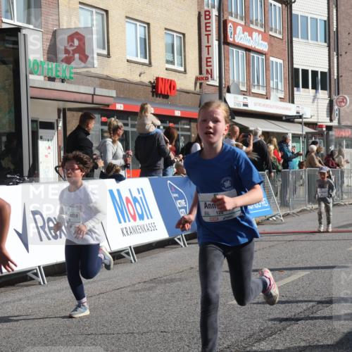 15.09.2024 - PSD Bank Halbmarathon Michael Strokosch http://msf.ph/oto/7072369 15.09.2024 10:29:30 Ziel 46, 60, 80, 85, 111, 112, 120, 168, 194 meine-sportfotos.de
