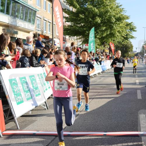 15.09.2024 - PSD Bank Halbmarathon Strokosch-Dieckow http://msf.ph/oto/7072380 15.09.2024 10:28:58 Ziel 26, 130, 140, 162, 184, 192, 205, 235, 273, 305 meine-sportfotos.de