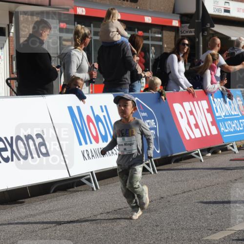 15.09.2024 - PSD Bank Halbmarathon Michael Strokosch http://msf.ph/oto/7072395 15.09.2024 10:29:33 Ziel 15, 46, 60, 74, 80, 85, 111, 112, 120, 164, 168 meine-sportfotos.de