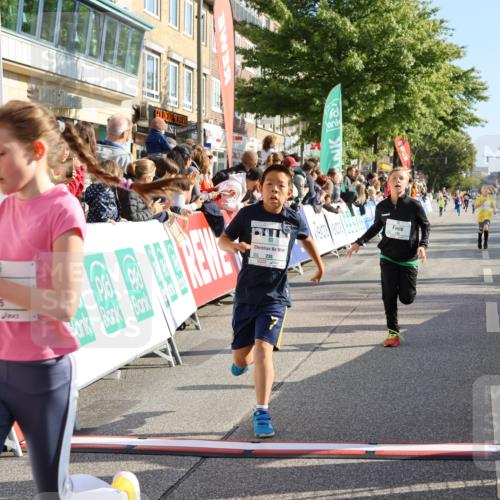 15.09.2024 - PSD Bank Halbmarathon Strokosch-Dieckow http://msf.ph/oto/7072399 15.09.2024 10:28:59 Ziel 26, 130, 140, 162, 184, 192, 205, 235, 273, 305 meine-sportfotos.de
