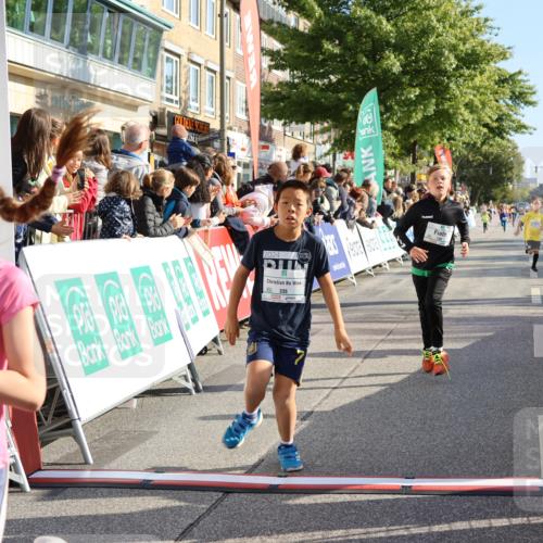 15.09.2024 - PSD Bank Halbmarathon Strokosch-Dieckow http://msf.ph/oto/7072447 15.09.2024 10:28:59 Ziel 26, 130, 140, 162, 184, 192, 205, 235, 273, 305 meine-sportfotos.de