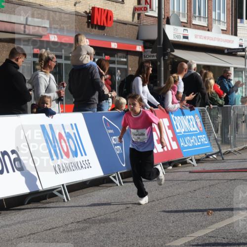 15.09.2024 - PSD Bank Halbmarathon Michael Strokosch http://msf.ph/oto/7072474 15.09.2024 10:29:40 Ziel 15, 46, 60, 74, 80, 85, 112, 120, 164, 168, 171, 185, 225, 246 meine-sportfotos.de