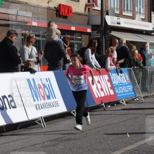 15.09.2024 - PSD Bank Halbmarathon Michael Strokosch http://msf.ph/oto/7072478 15.09.2024 10:29:40 Ziel 15, 46, 60, 74, 80, 85, 112, 120, 164, 168, 171, 185, 225, 246 meine-sportfotos.de