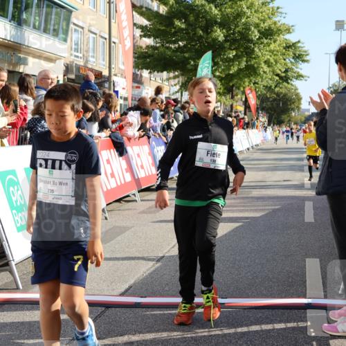 15.09.2024 - PSD Bank Halbmarathon Strokosch-Dieckow http://msf.ph/oto/7072497 15.09.2024 10:29:00 Ziel 26, 130, 140, 162, 184, 192, 205, 235, 273, 305 meine-sportfotos.de