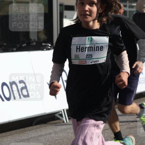 15.09.2024 - PSD Bank Halbmarathon Michael Strokosch http://msf.ph/oto/7072524 15.09.2024 10:29:44 Ziel 3, 15, 46, 60, 63, 74, 112, 164, 168, 171, 185, 218, 225, 246, 264, 286 meine-sportfotos.de