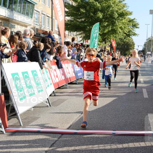 15.09.2024 - PSD Bank Halbmarathon Strokosch-Dieckow http://msf.ph/oto/7072633 15.09.2024 10:29:12 Ziel 106, 107, 137, 140, 154, 170, 179, 189, 222, 231, 288, 292 meine-sportfotos.de