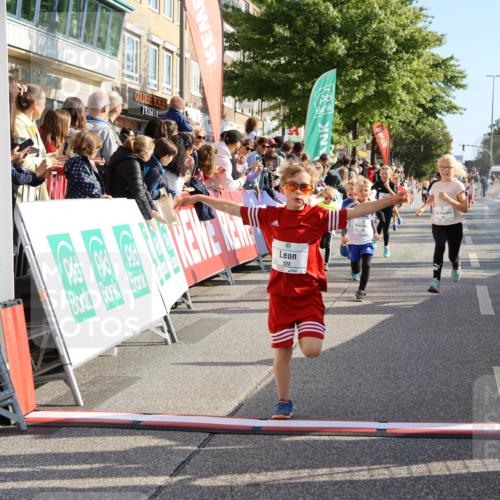 15.09.2024 - PSD Bank Halbmarathon Strokosch-Dieckow http://msf.ph/oto/7072670 15.09.2024 10:29:12 Ziel 106, 107, 137, 140, 154, 170, 179, 189, 222, 231, 288, 292 meine-sportfotos.de