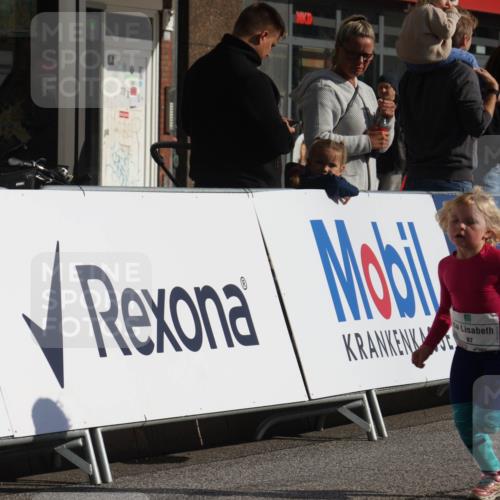 15.09.2024 - PSD Bank Halbmarathon Michael Strokosch http://msf.ph/oto/7072702 15.09.2024 10:30:01 Ziel 3, 32, 63, 97, 127, 129, 156, 218, 252, 264, 281, 286, 289, 306 meine-sportfotos.de