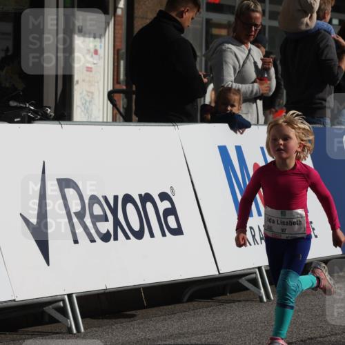 15.09.2024 - PSD Bank Halbmarathon Michael Strokosch http://msf.ph/oto/7072711 15.09.2024 10:30:01 Ziel 3, 32, 63, 97, 127, 129, 156, 218, 252, 264, 281, 286, 289, 306 meine-sportfotos.de