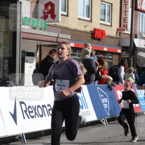 15.09.2024 - PSD Bank Halbmarathon Michael Strokosch http://msf.ph/oto/7072787 15.09.2024 10:30:07 Ziel 32, 97, 129, 156, 252, 281, 289, 306 meine-sportfotos.de