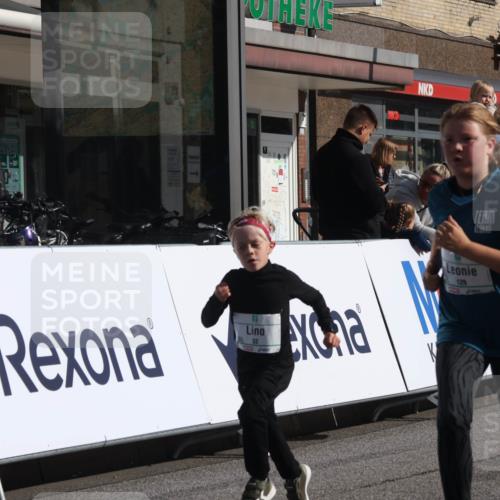 15.09.2024 - PSD Bank Halbmarathon Michael Strokosch http://msf.ph/oto/7072800 15.09.2024 10:30:08 Ziel 32, 97, 129, 156, 252, 281, 289, 306 meine-sportfotos.de