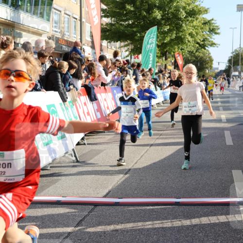 15.09.2024 - PSD Bank Halbmarathon Strokosch-Dieckow http://msf.ph/oto/7072803 15.09.2024 10:29:12 Ziel 106, 107, 137, 140, 154, 170, 179, 189, 222, 231, 288, 292 meine-sportfotos.de