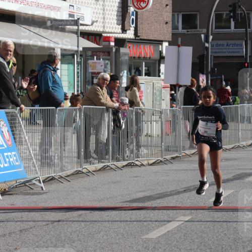 15.09.2024 - PSD Bank Halbmarathon Michael Strokosch http://msf.ph/oto/7072824 15.09.2024 10:30:23 Ziel 303 meine-sportfotos.de