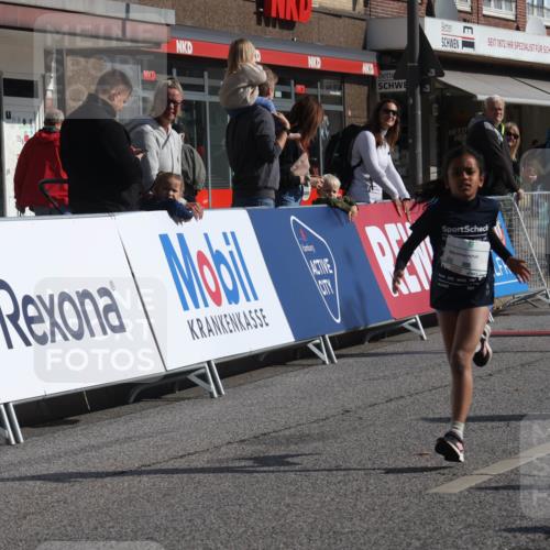 15.09.2024 - PSD Bank Halbmarathon Michael Strokosch http://msf.ph/oto/7072863 15.09.2024 10:30:25 Ziel 303 meine-sportfotos.de