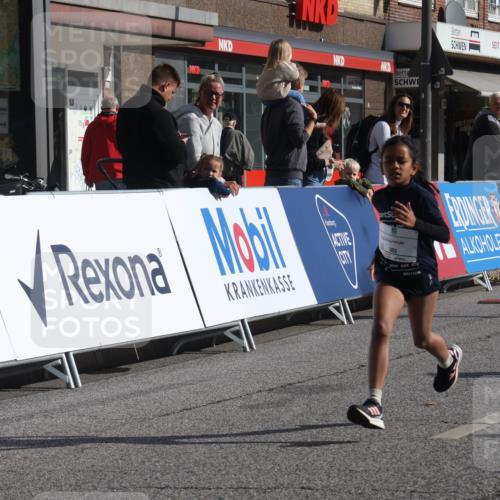 15.09.2024 - PSD Bank Halbmarathon Michael Strokosch http://msf.ph/oto/7072867 15.09.2024 10:30:25 Ziel 303 meine-sportfotos.de