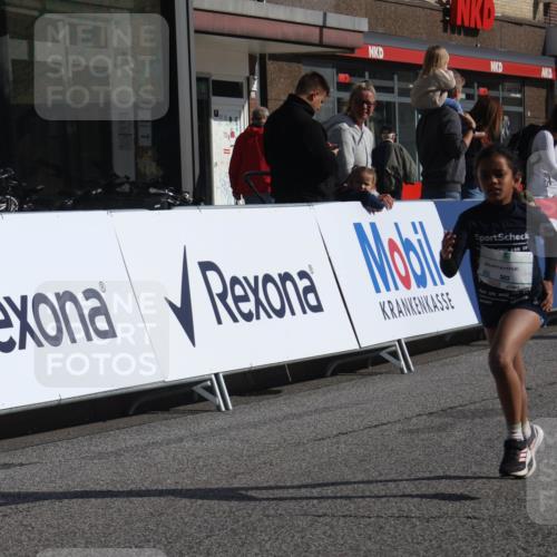 15.09.2024 - PSD Bank Halbmarathon Michael Strokosch http://msf.ph/oto/7072873 15.09.2024 10:30:26 Ziel 303 meine-sportfotos.de