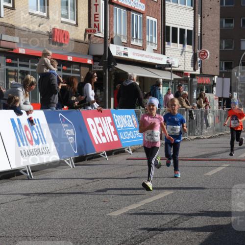 15.09.2024 - PSD Bank Halbmarathon Michael Strokosch http://msf.ph/oto/7072900 15.09.2024 10:30:42 Ziel 38, 44, 145, 147, 214, 234 meine-sportfotos.de