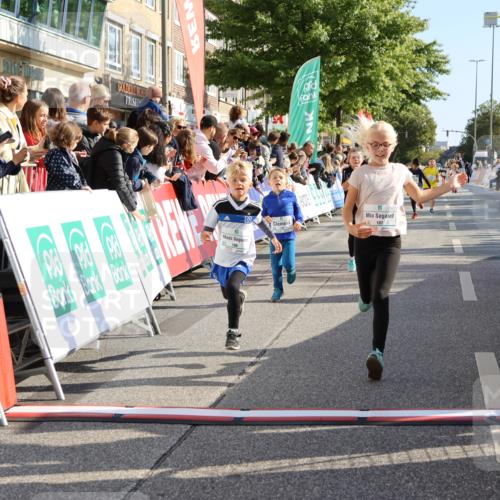 15.09.2024 - PSD Bank Halbmarathon Strokosch-Dieckow http://msf.ph/oto/7072903 15.09.2024 10:29:13 Ziel 106, 107, 137, 140, 150, 154, 170, 179, 189, 222, 231, 288, 292 meine-sportfotos.de