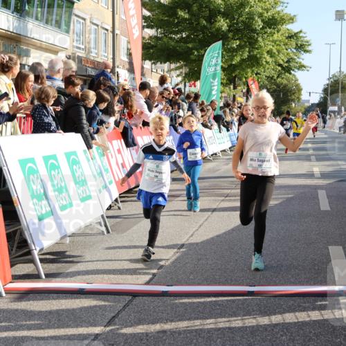 15.09.2024 - PSD Bank Halbmarathon Strokosch-Dieckow http://msf.ph/oto/7072929 15.09.2024 10:29:13 Ziel 106, 107, 137, 140, 150, 154, 170, 179, 189, 222, 231, 288, 292 meine-sportfotos.de