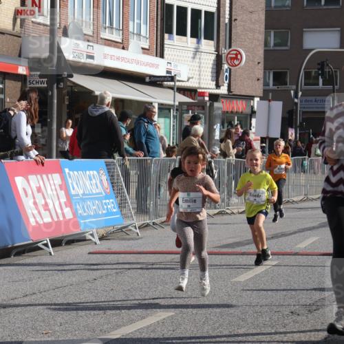 15.09.2024 - PSD Bank Halbmarathon Michael Strokosch http://msf.ph/oto/7072966 15.09.2024 10:30:47 Ziel 38, 44, 141, 145, 147, 207, 214, 234 meine-sportfotos.de