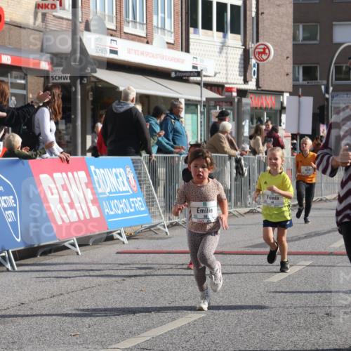 15.09.2024 - PSD Bank Halbmarathon Michael Strokosch http://msf.ph/oto/7072971 15.09.2024 10:30:47 Ziel 38, 44, 141, 145, 147, 207, 214, 234 meine-sportfotos.de