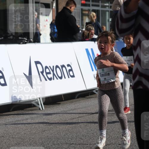 15.09.2024 - PSD Bank Halbmarathon Michael Strokosch http://msf.ph/oto/7073008 15.09.2024 10:30:49 Ziel 38, 44, 141, 145, 147, 207, 214, 234 meine-sportfotos.de